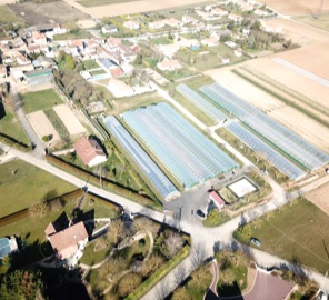 Vente directe producteur Vienne (86), maraîchage