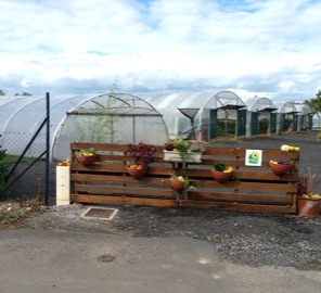 Vente directe producteur Vienne (86), maraîchage